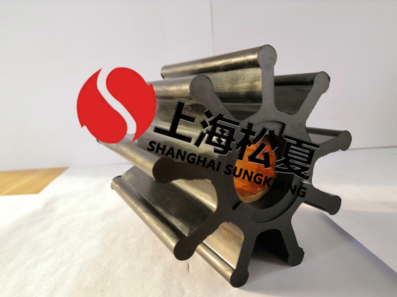 定制橡膠葉輪泵需要注意什么呢？